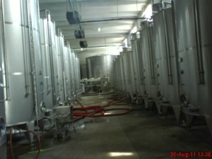 DSC00604