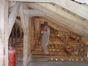 POZE SPULBER 036   